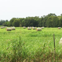 BolingProperty_Homepageimage