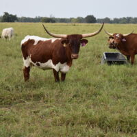 2017-09-13 18.50.37-1